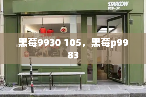 黑莓9930 105，黑莓p9983