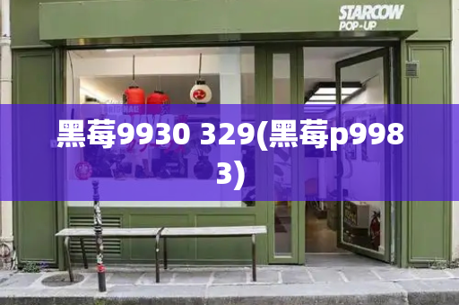黑莓9930 329(黑莓p9983)