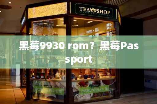 黑莓9930 rom？黑莓Passport