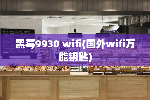 黑莓9930 wifi(国外wifi万能钥匙)-第1张图片-星选测评