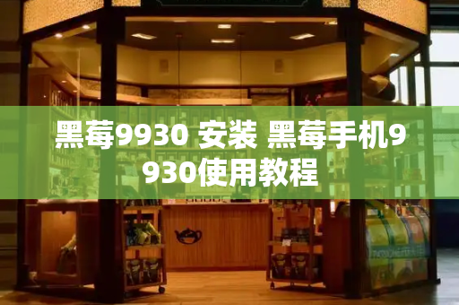 黑莓9930 安装 黑莓手机9930使用教程