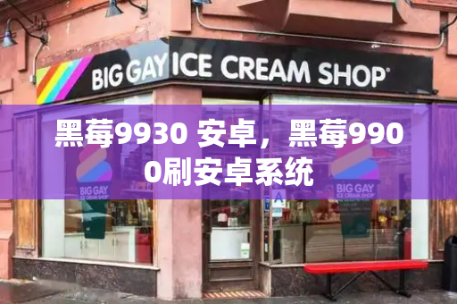 黑莓9930 安卓，黑莓9900刷安卓系统-第1张图片-星选测评