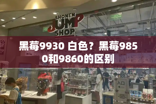 黑莓9930 白色？黑莓9850和9860的区别-第1张图片-星选测评