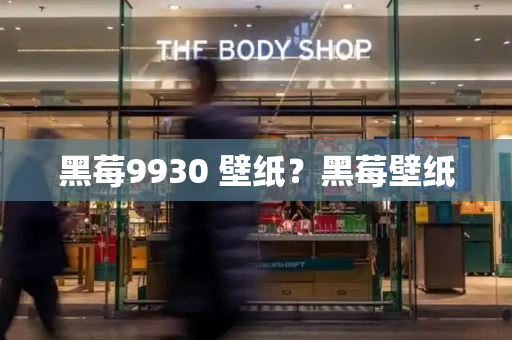 黑莓9930 壁纸？黑莓壁纸
