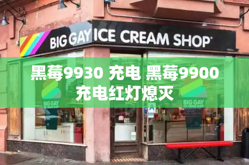黑莓9930 充电 黑莓9900充电红灯熄灭