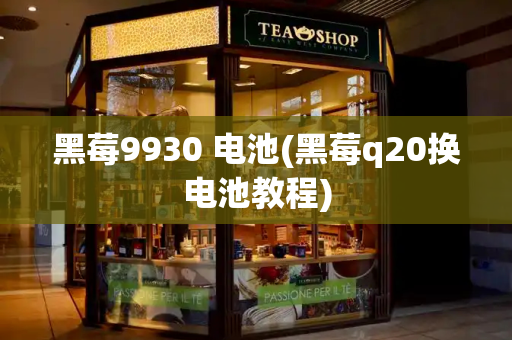 黑莓9930 电池(黑莓q20换电池教程)