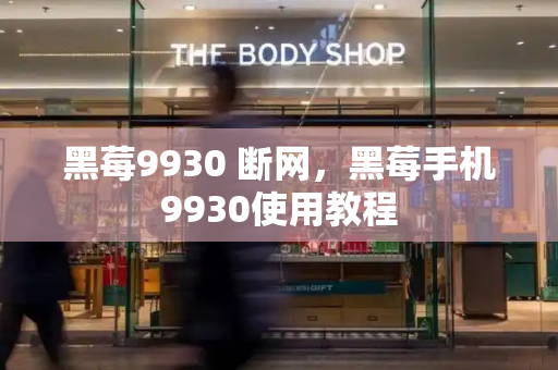 黑莓9930 断网，黑莓手机9930使用教程-第1张图片-星选测评