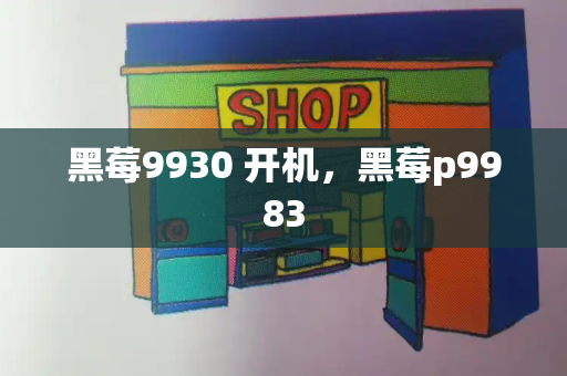 黑莓9930 开机，黑莓p9983-第1张图片-星选测评
