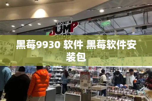 黑莓9930 软件 黑莓软件安装包