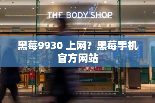 黑莓9930 上网？黑莓手机官方网站-第1张图片-星选测评
