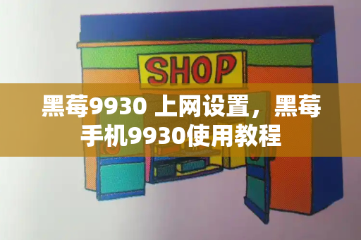 黑莓9930 上网设置，黑莓手机9930使用教程-第1张图片-星选测评