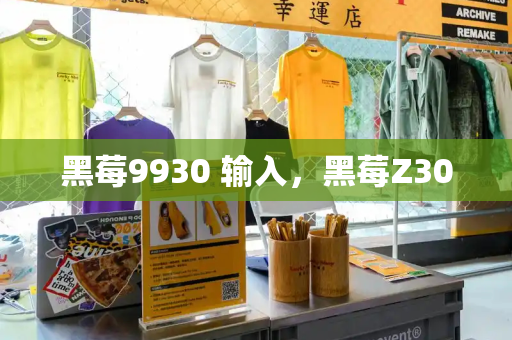 黑莓9930 输入，黑莓Z30-第1张图片-星选测评