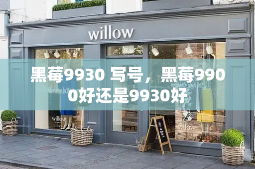 黑莓9930 写号，黑莓9900好还是9930好