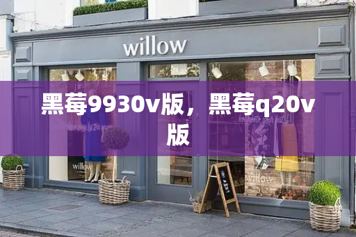 黑莓9930v版，黑莓q20v版