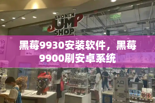 黑莓9930安装软件，黑莓9900刷安卓系统-第1张图片-星选测评