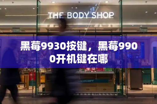 黑莓9930按键，黑莓9900开机键在哪-第1张图片-星选测评