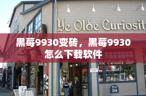 黑莓9930变砖，黑莓9930怎么下载软件