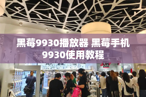 黑莓9930播放器 黑莓手机9930使用教程