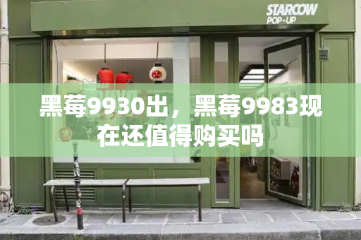 黑莓9930出，黑莓9983现在还值得购买吗