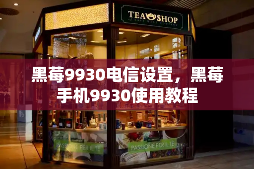 黑莓9930电信设置，黑莓手机9930使用教程