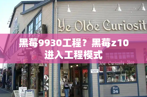 黑莓9930工程？黑莓z10进入工程模式