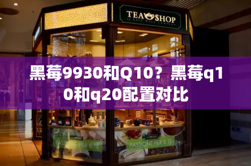 黑莓9930和Q10？黑莓q10和q20配置对比-第1张图片-星选测评