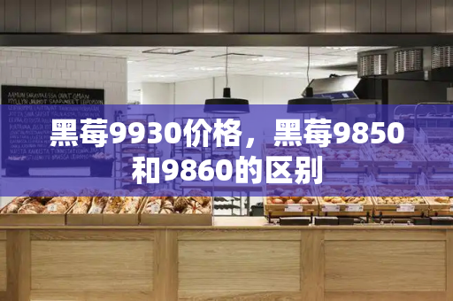 黑莓9930价格，黑莓9850和9860的区别-第1张图片-星选测评