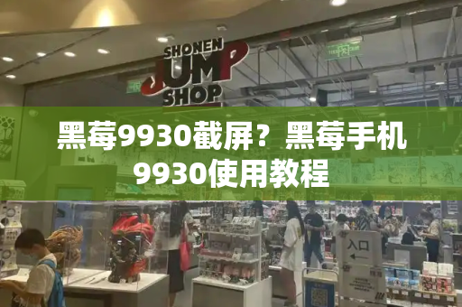 黑莓9930截屏？黑莓手机9930使用教程