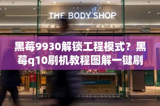 黑莓9930解锁工程模式？黑莓q10刷机教程图解一键刷机-第1张图片-星选测评