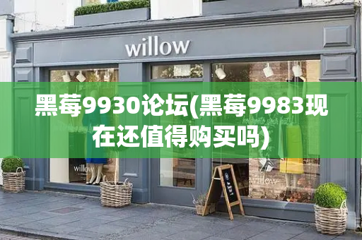 黑莓9930论坛(黑莓9983现在还值得购买吗)-第1张图片-星选测评