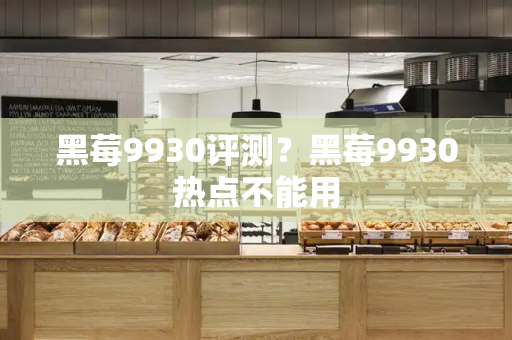 黑莓9930评测？黑莓9930热点不能用
