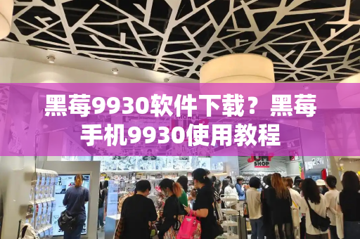 黑莓9930软件下载？黑莓手机9930使用教程-第1张图片-星选测评