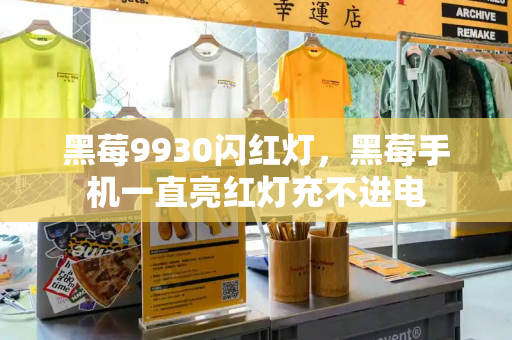 黑莓9930闪红灯，黑莓手机一直亮红灯充不进电
