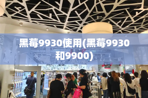 黑莓9930使用(黑莓9930和9900)