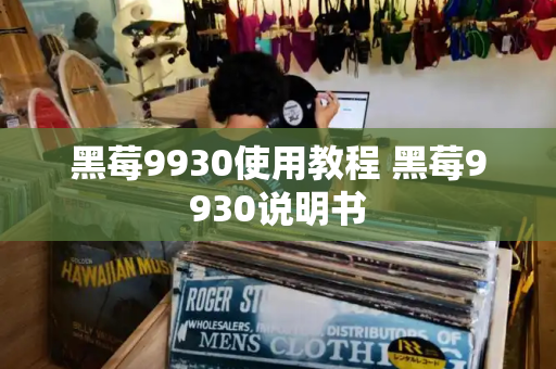 黑莓9930使用教程 黑莓9930说明书-第1张图片-星选测评