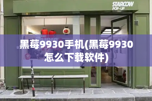黑莓9930手机(黑莓9930怎么下载软件)