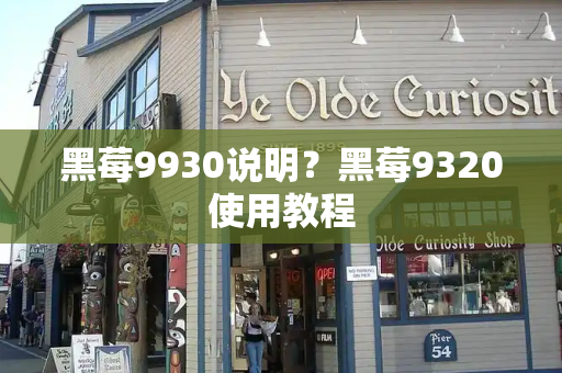 黑莓9930说明？黑莓9320使用教程