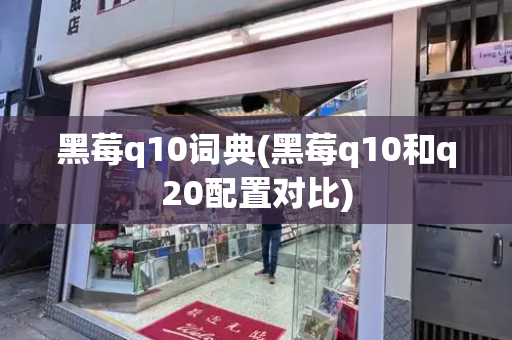 黑莓q10词典(黑莓q10和q20配置对比)