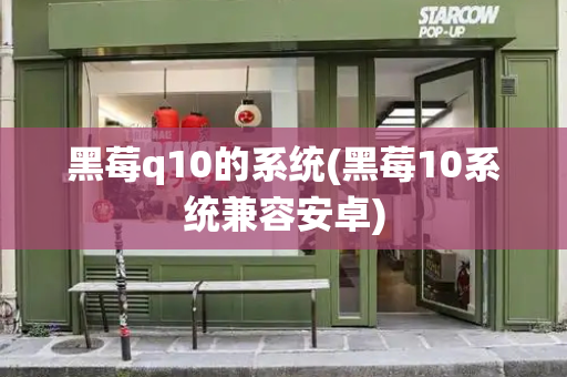 黑莓q10的系统(黑莓10系统兼容安卓)