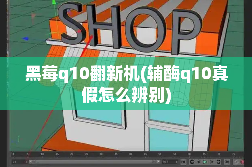 黑莓q10翻新机(辅酶q10真假怎么辨别)-第1张图片-星选测评