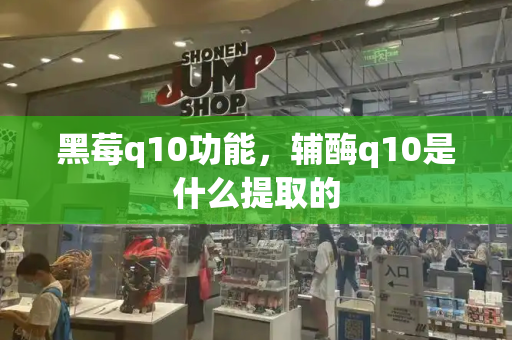黑莓q10功能，辅酶q10是什么提取的