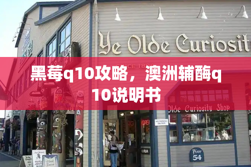 黑莓q10攻略，澳洲辅酶q10说明书