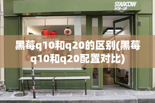 黑莓q10和q20的区别(黑莓q10和q20配置对比)