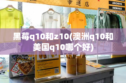 黑莓q10和z10(澳洲q10和美国q10哪个好)