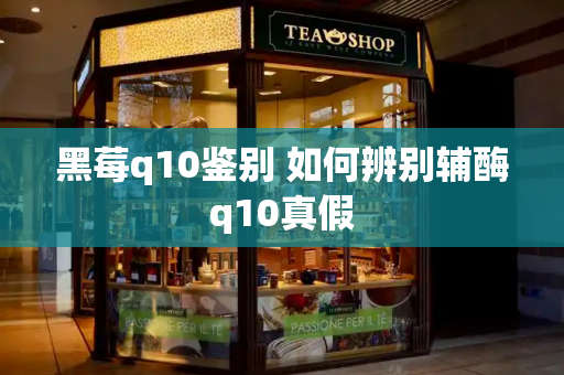 黑莓q10鉴别 如何辨别辅酶q10真假