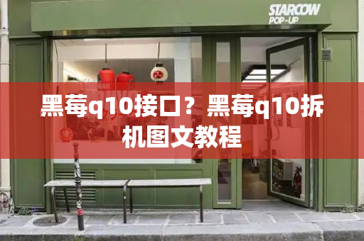 黑莓q10接口？黑莓q10拆机图文教程-第1张图片-星选测评
