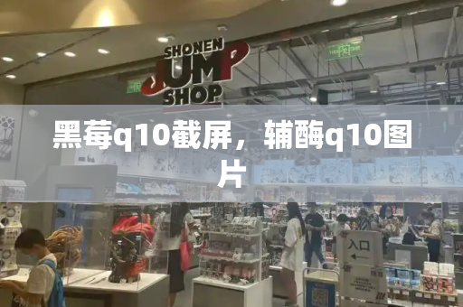 黑莓q10截屏，辅酶q10图片