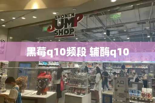 黑莓q10频段 辅酶q10