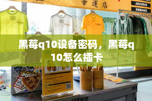 黑莓q10设备密码，黑莓q10怎么插卡