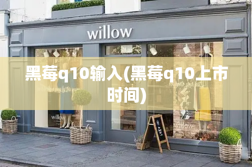 黑莓q10输入(黑莓q10上市时间)